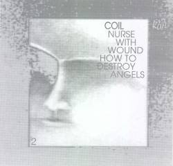 Nurse With Wound : How to Destroy Angels 2